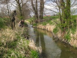 Kocába 2 Daleké Dušníky 15.4.14 (3).JPG